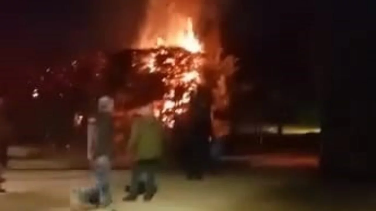 Bursa'da sebepsiz yere ateşe verilen ağaç itfaiyeyi harekete geçirdi