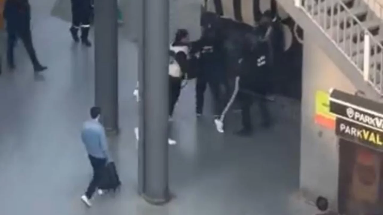 Bursa'da AVM'de iki grup arasında kavga