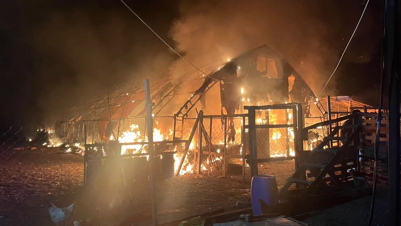 Bursa'da çiftlik yangını: Çok sayıda kanatlı hayvan telef oldu