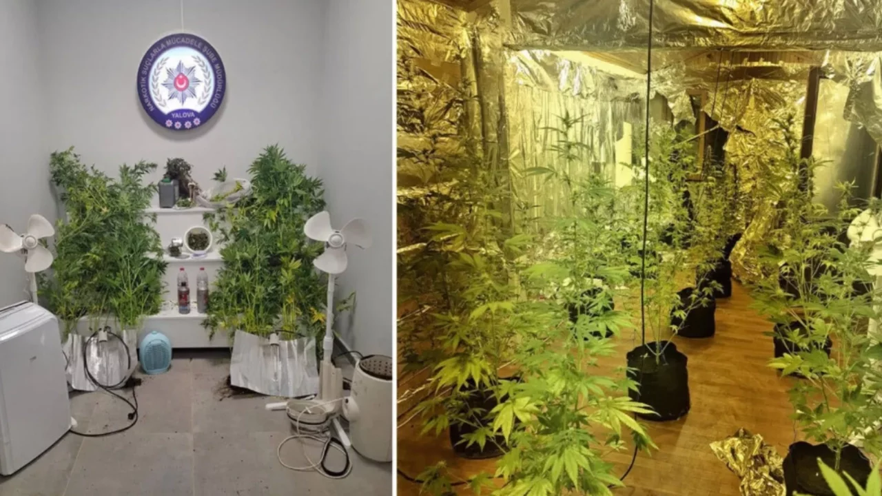 Uyuşturucu yetiştirme düzeneği kurduğu evde yakalandı