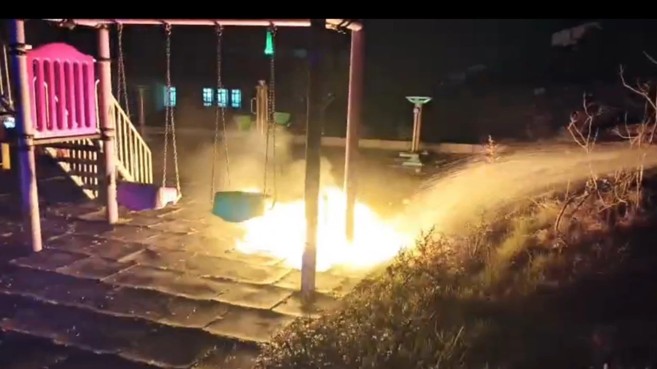 Bilecik'te çocukların yaktığı ateş parkı alev topuna çevirdi