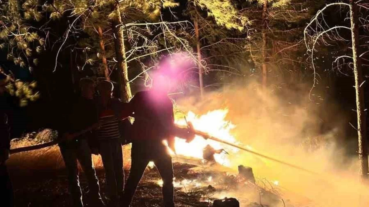 Hatay'da ormanlık alanda çıkan yangın kontrol altına alındı