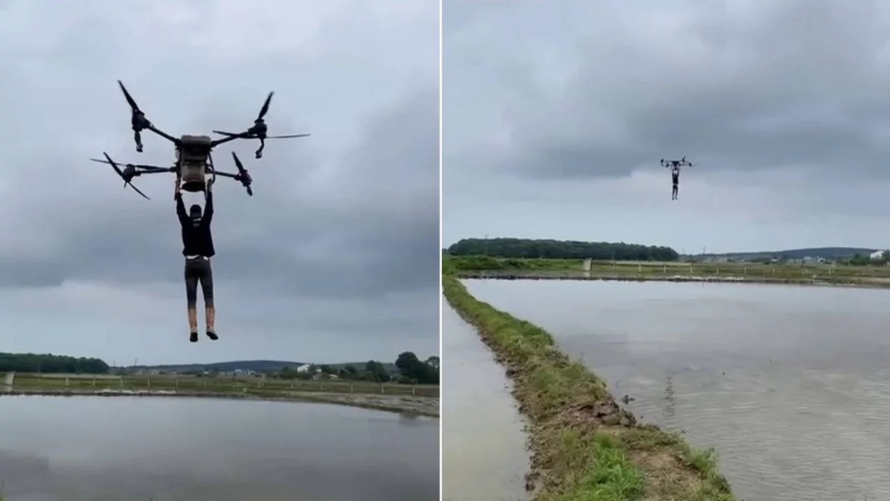 Çeltik tarlasında drona asılıp uçtu