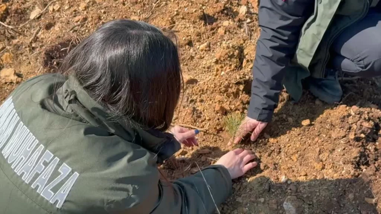 Bursa'da "Türkiye'nin akciğerleri" kadın ormancılara emanet