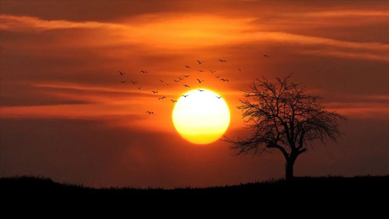 Kayıtlara göre, son 11 yıl tarihin en sıcak yılları oldu