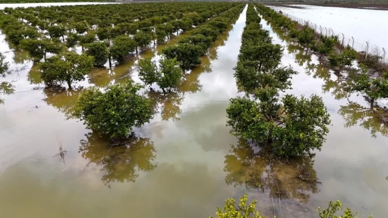 3 günlük yağış Çukurova'yı vurdu