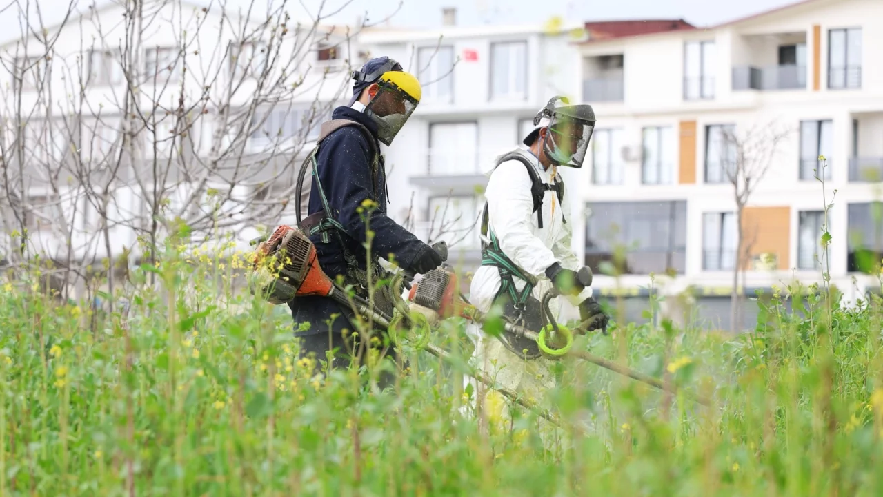 Osmangazi Belediyesi yabani ot temizliğine başladı