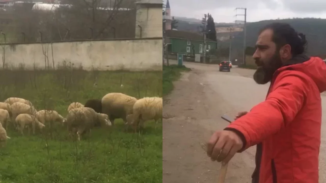 Bursa'da bir çoban sesiyle herkesi mest etti