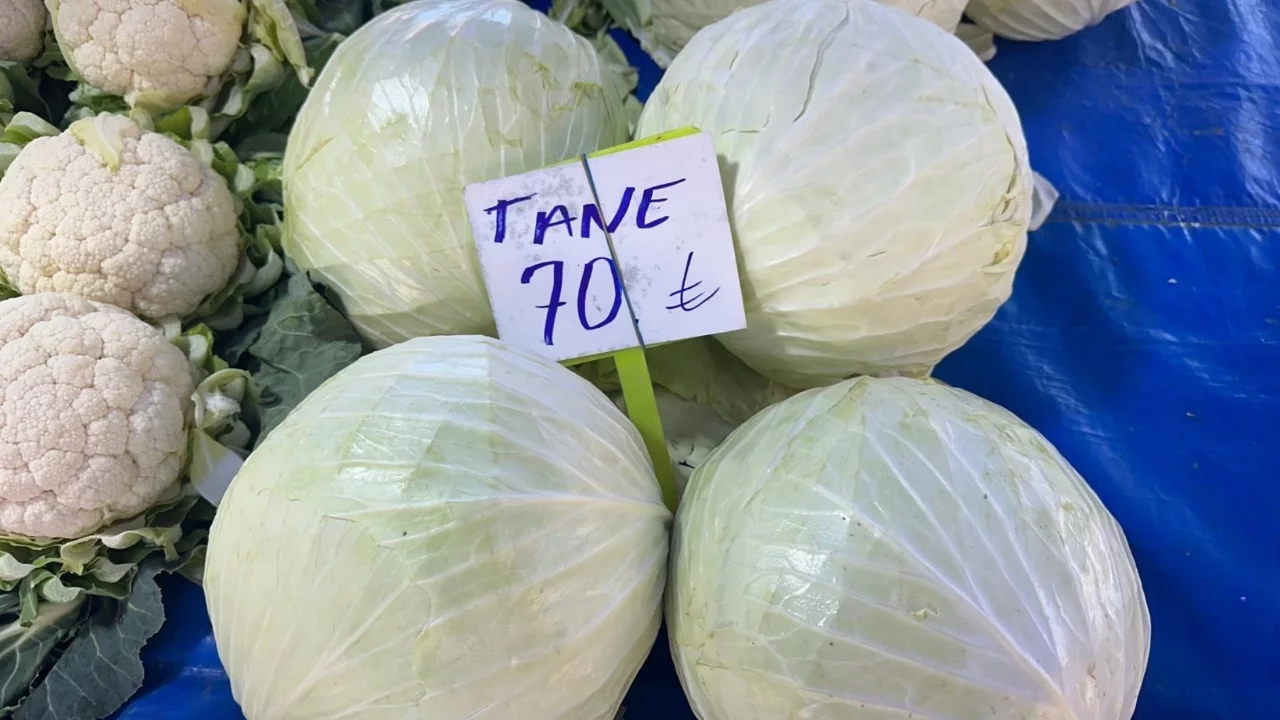 Bursa'da beyaz lahanada ne çiftçi kazandı ne de tüketici ucuza yedi