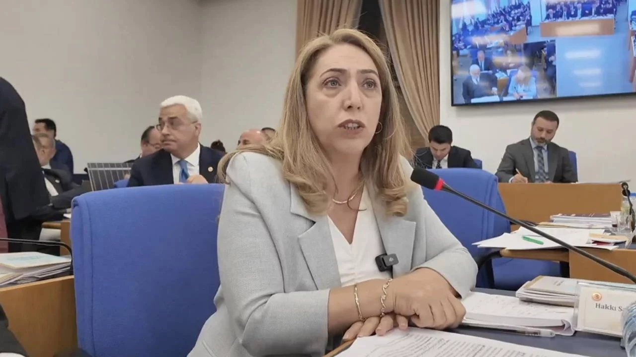 DEM Partili isim o görevinden istifa etti