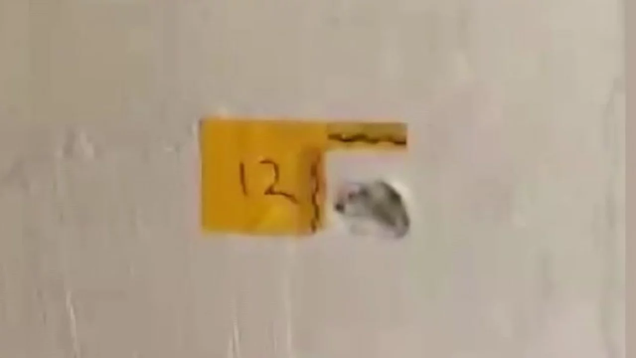 "Polisiz" diyerek eve giren şahıslar anne ile oğlunu vurdu