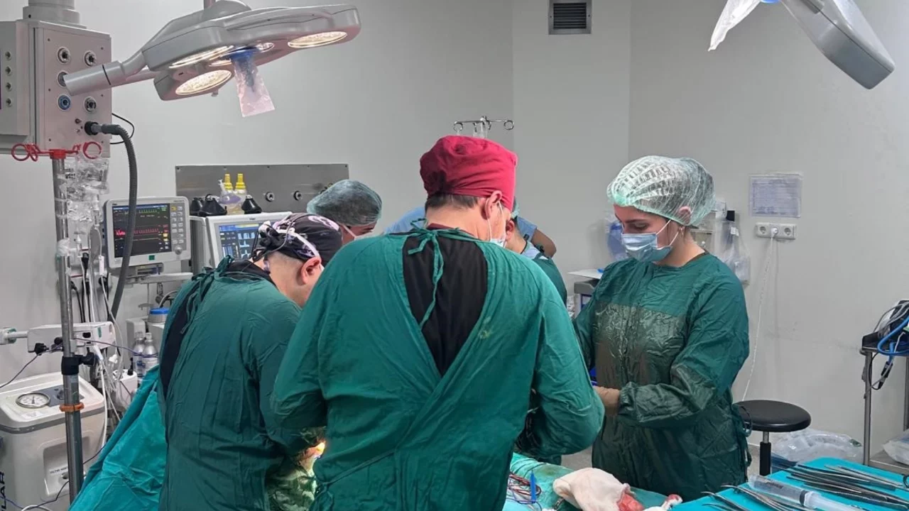 Bursa organ bağışında 'umudun başkenti' oldu