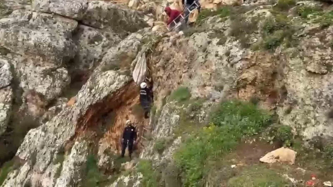 Uçurumdan düşen köpek 4 saatlik çaba sonrası kurtarıldı