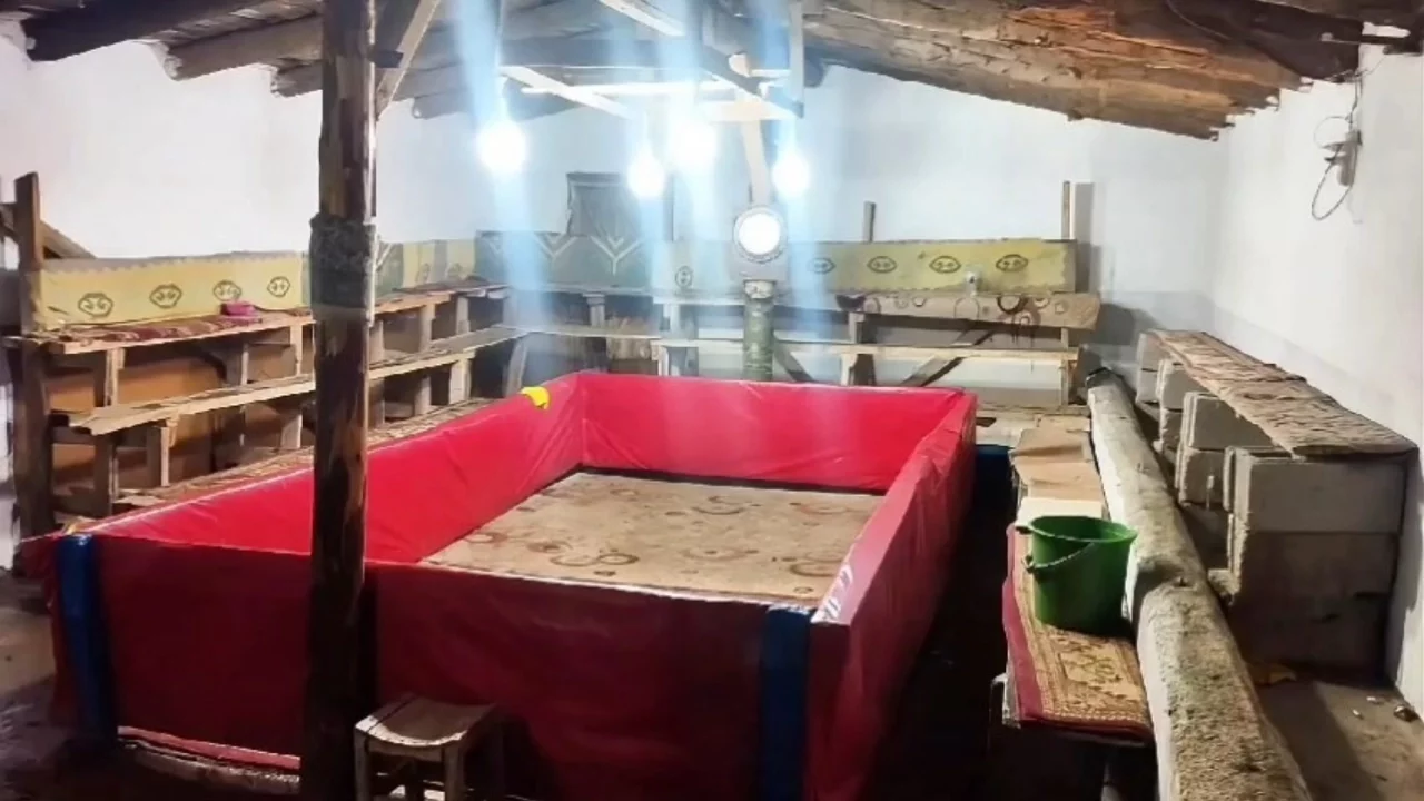 Horoz dövüşü yapan 23 kişiye ceza