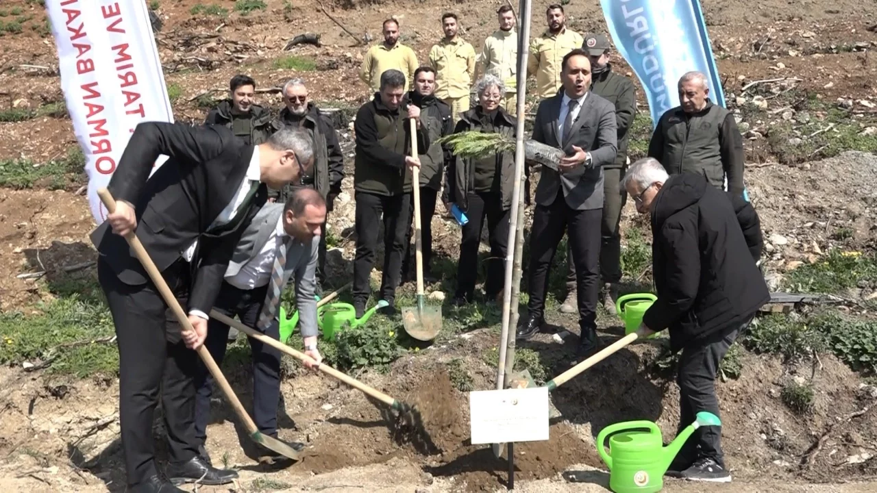 Bursa'da yanan ormanlar yeniden can buldu