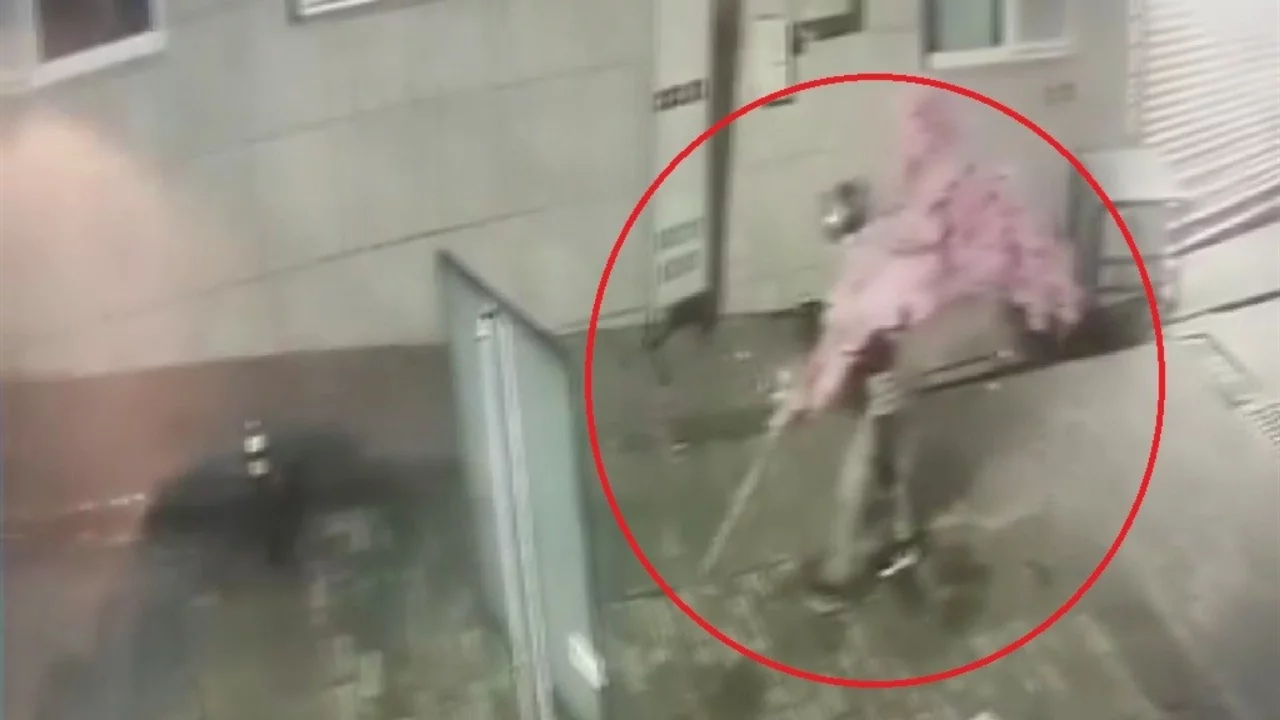 Bursa'da pes dedirten hırsızlık! Kasklı şüpheli süs ağacını söküp sırtlayarak kaçtı