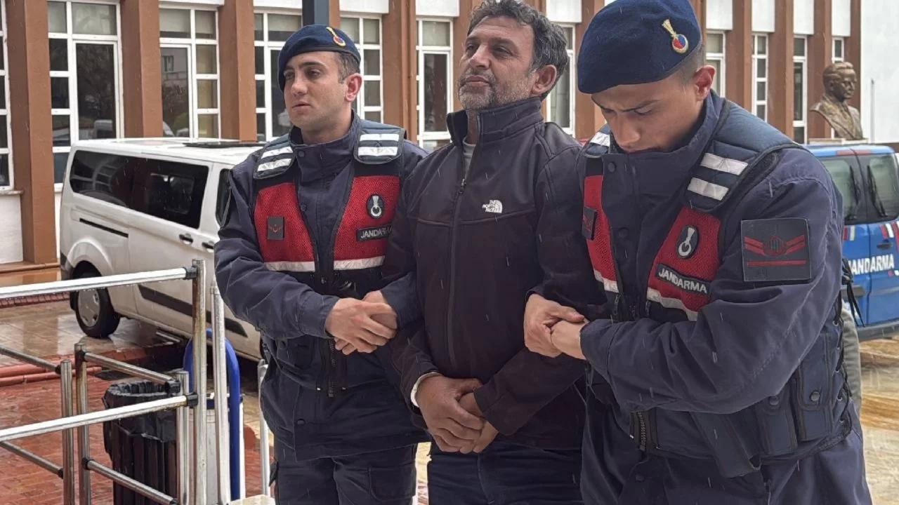 Aydın'da zeytin ve incir ağaçlarına zarar verdiği öne sürülen şüpheli serbest bırakıldı