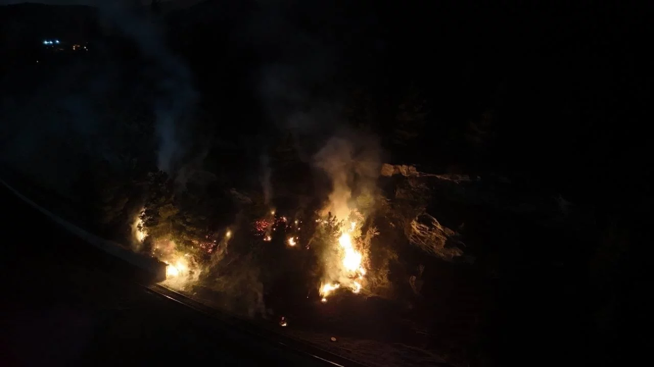 Karabük'te ormanlık alanda çıkan örtü yangını kontrol altına alındı