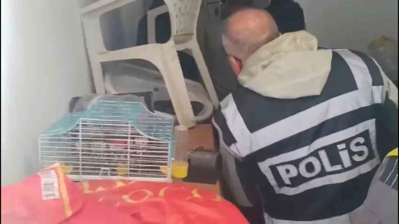 Turistleri hedef alan kart dolandırıcılığı operasyonunda 4 şüpheli yakalandı