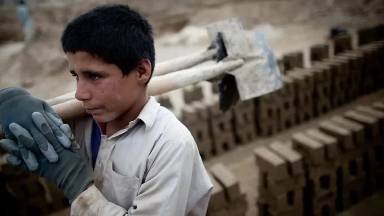 Uzmanlardan çağrı: Çocuk işçiliği halk sağlığı sorunu olarak görülmeli