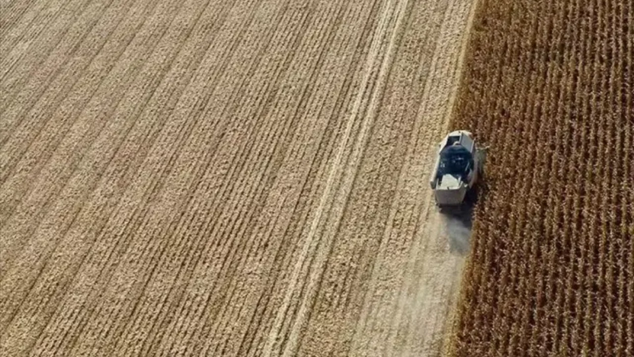 Çiftçiye planlı üretim desteği