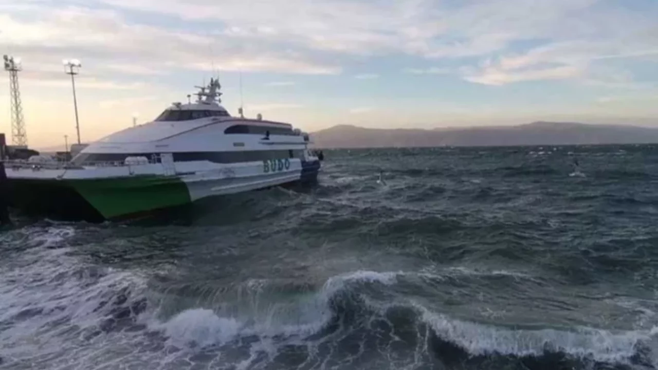 BUDO'nun bazı seferleri iptal edildi