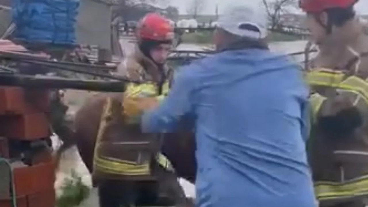 Bursa'da şiddetli sağanak nedeniyle çok sayıda büyükbaş ahırda mahsur kaldı