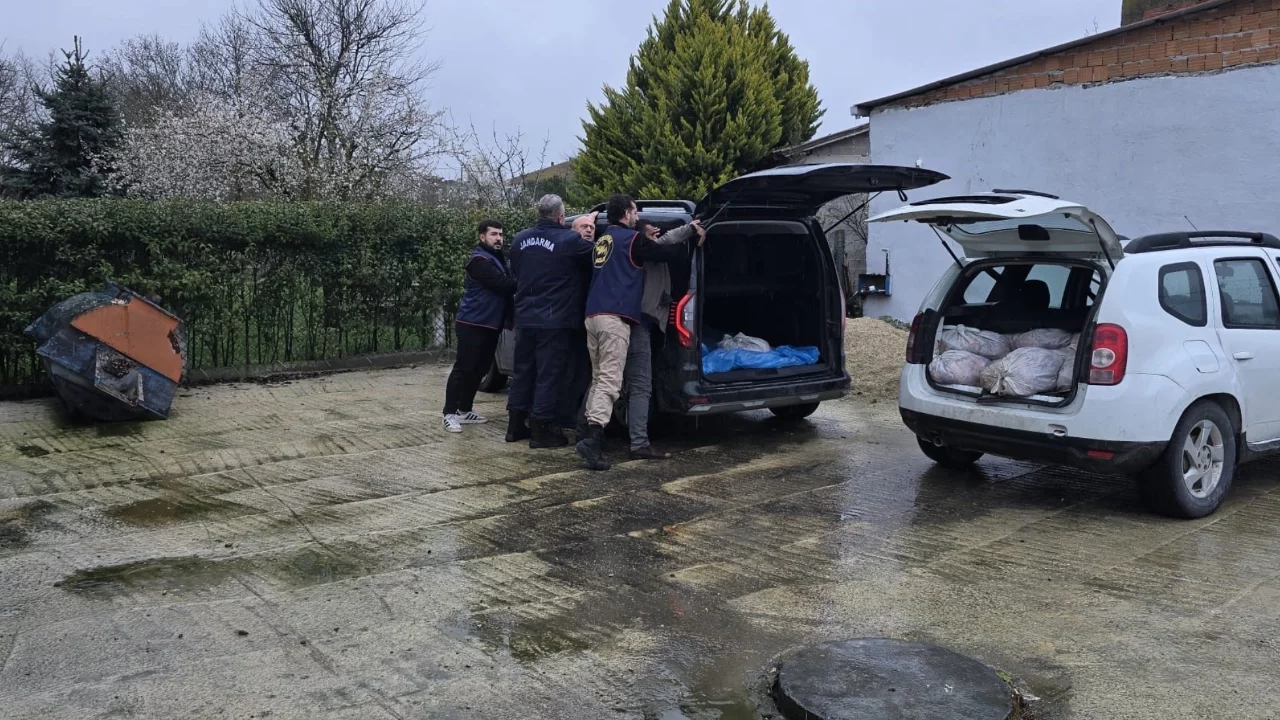 İstanbul'da satışa hazır 306 at eti yakalandı