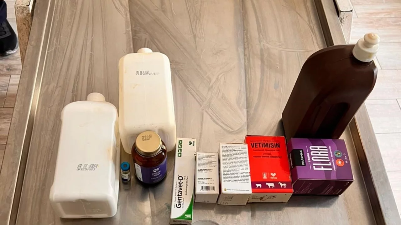 Hayvan barınağında ihmaller zinciri: Açlık, ölümler ve tarihi geçmiş ilaçlar