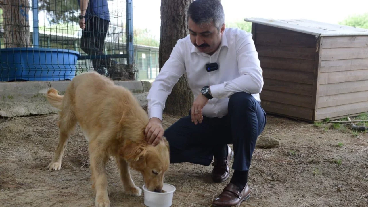 Yıldırım'dan sıfır atıkla can dostlara mama desteği