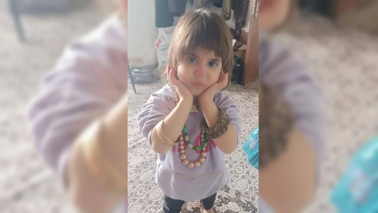 4 yaşındaki Rabia kayboldu! Arama çalışmaları başlatıldı