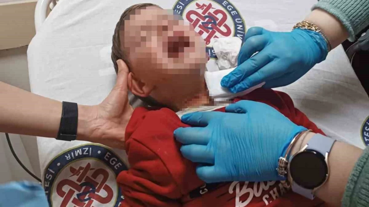 Parkta oynayan 2 yaşındaki çocuğa bıçaklı saldırı