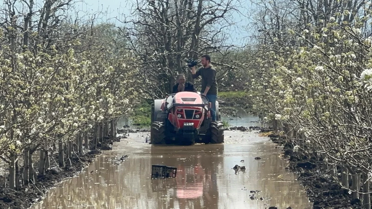 Bursa'da yüzlerce dönüm şeftali ve armut bahçesi su altında