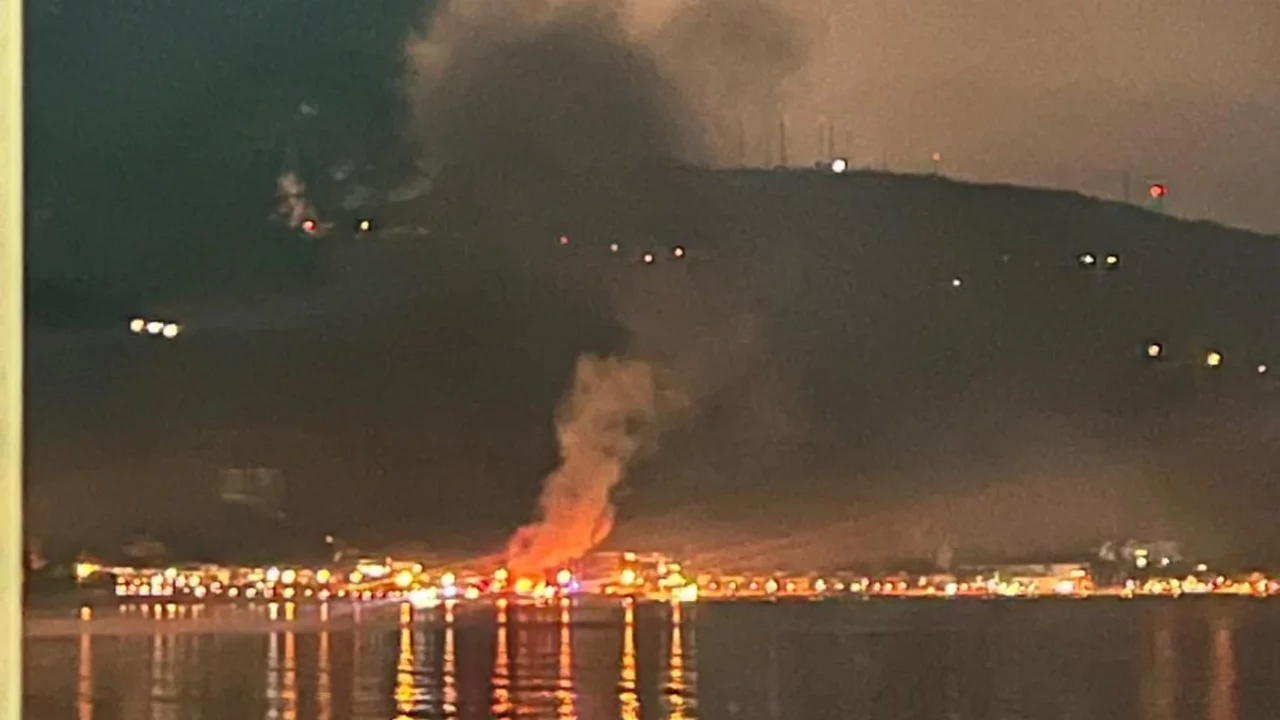 Bursa Kurşunlu Sahili'nde gece yarısı korkutan yangın