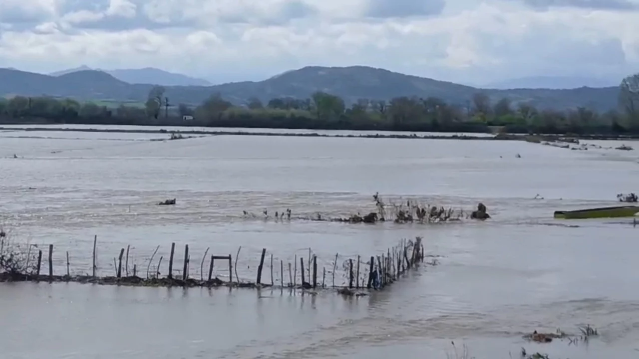 Meriç Nehri taştı, tarım arazilerini ve yollar sular altında kaldı