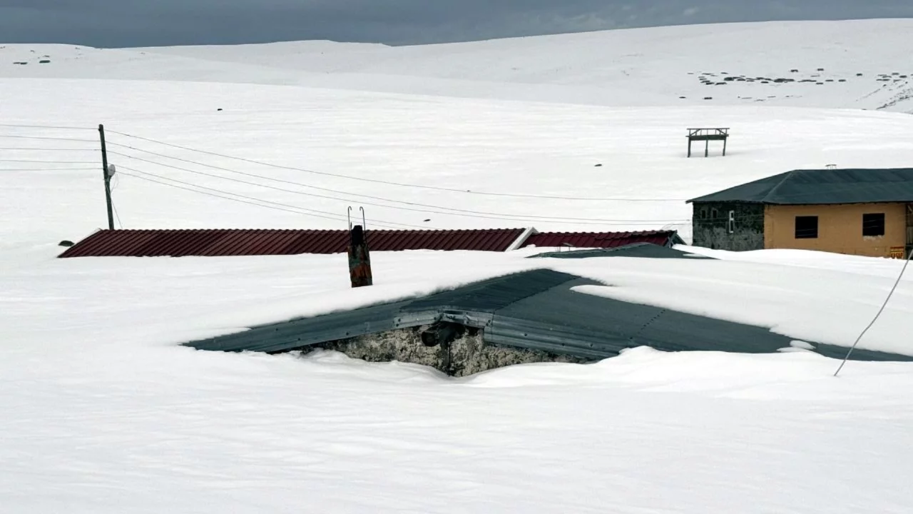 Ardahan'da yayla evleri kar altında kaldı