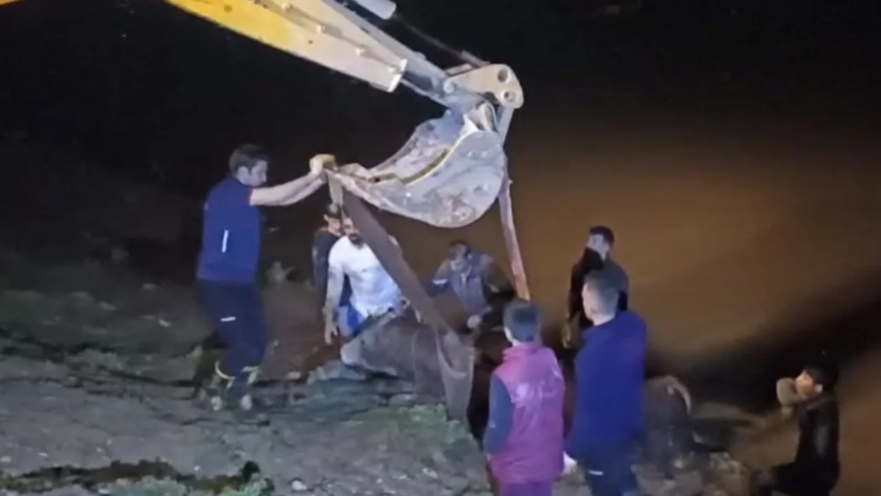 Dicle Nehri'ne düşen inek iş makinesiyle kurtardı