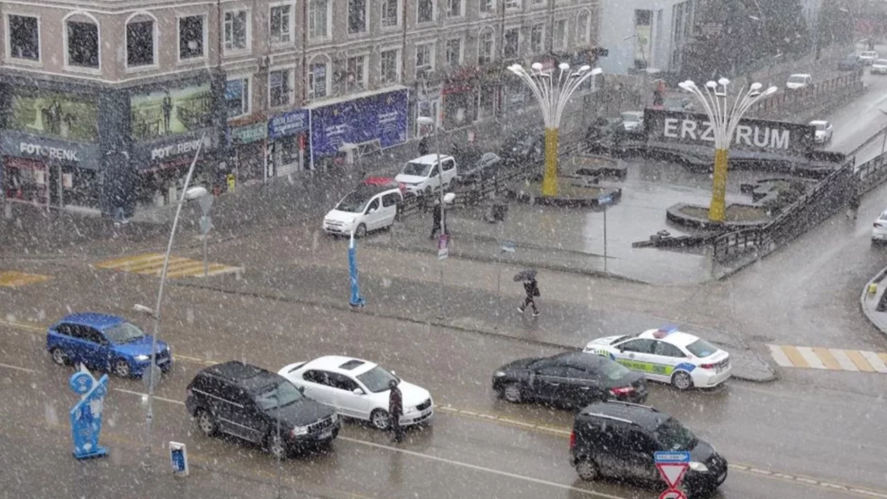 Erzurum'da  güne lapa lapa karla uyandılar