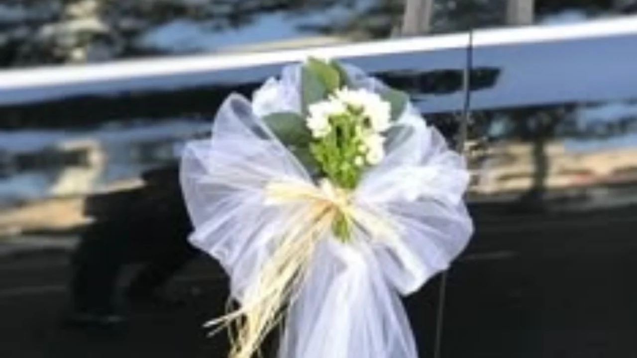 Bursa'da düğün konvoyundaki araçlara 660 bin lira ceza!