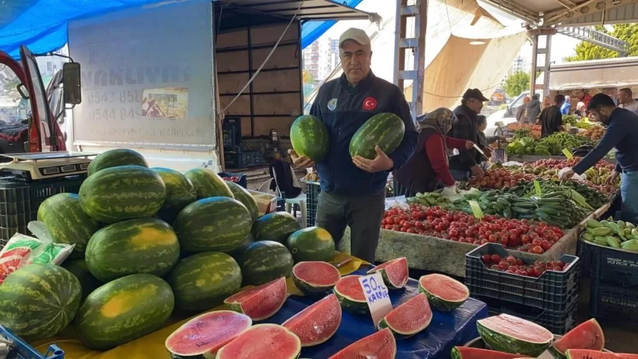 Sezonun ilk karpuzları tezgaha indi