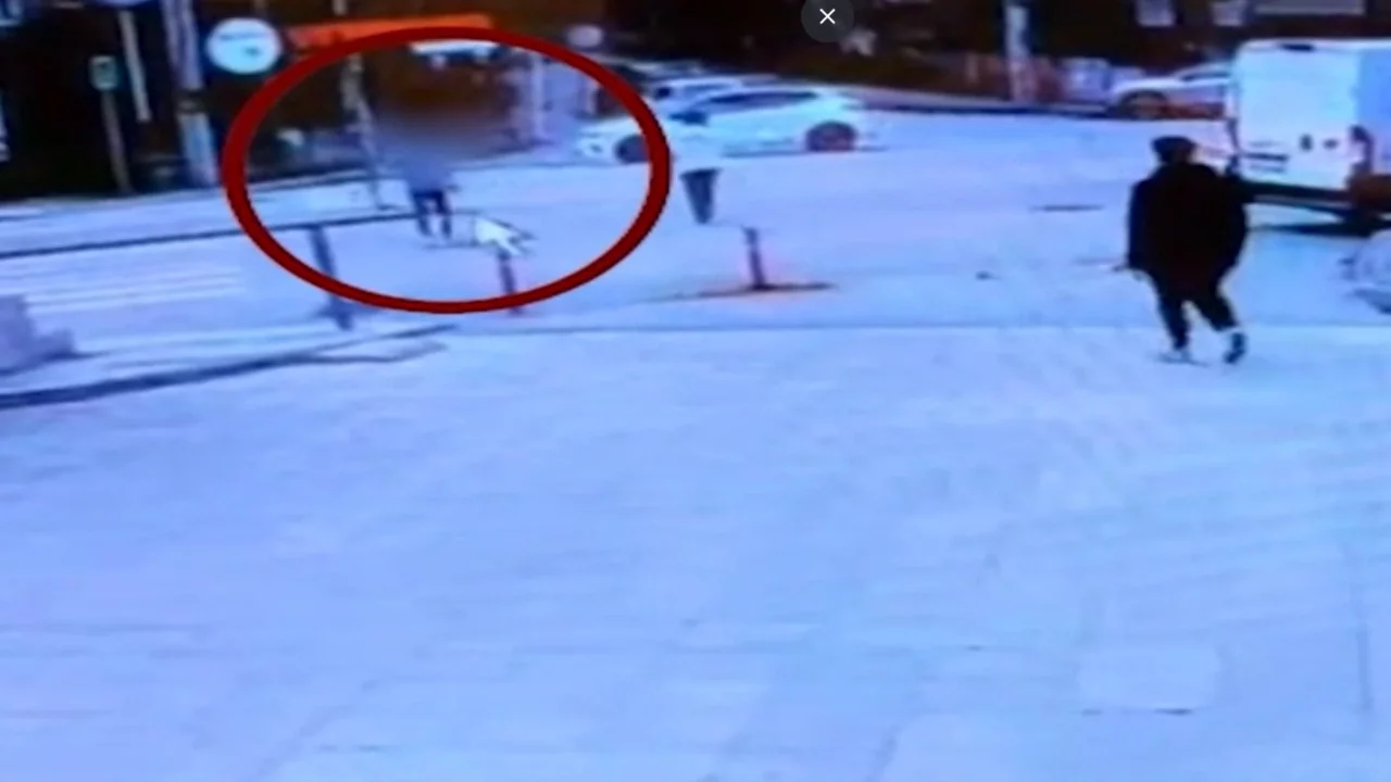 Bursa'da hırsızlık şüphelisi tutuklandı