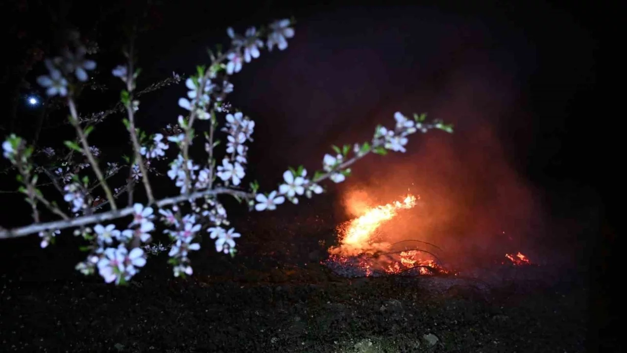 Manisa'da çiftçilerin zirai don nöbeti