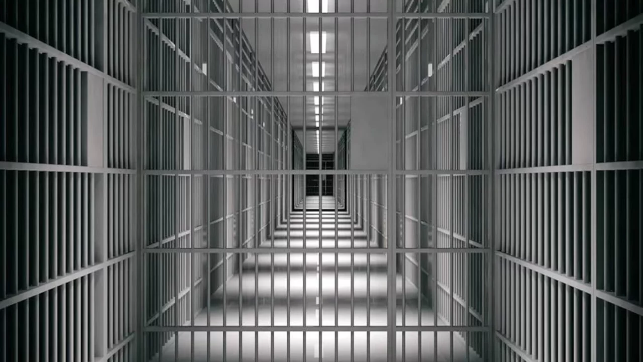 Sağlık, hukuk meslek örgütleri ve insan hakları derneklerinden ortak açıklama: Hapishanelerdeki i...