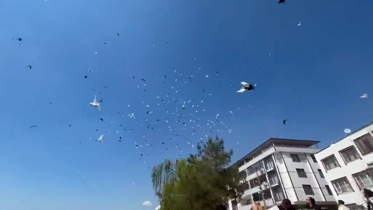 Bursa semaları kuşlarla renklendi