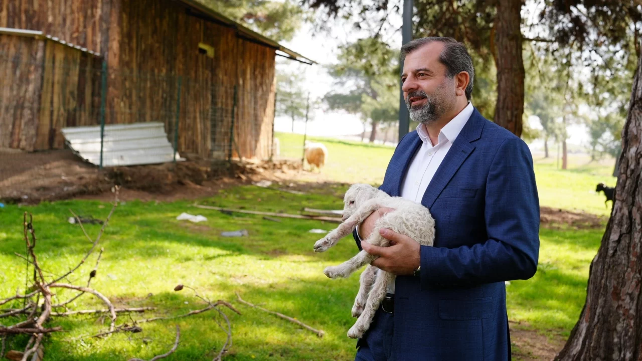 Gürsu'da butik hayvanat bahçesi yeni sakinlerini ağırlıyor