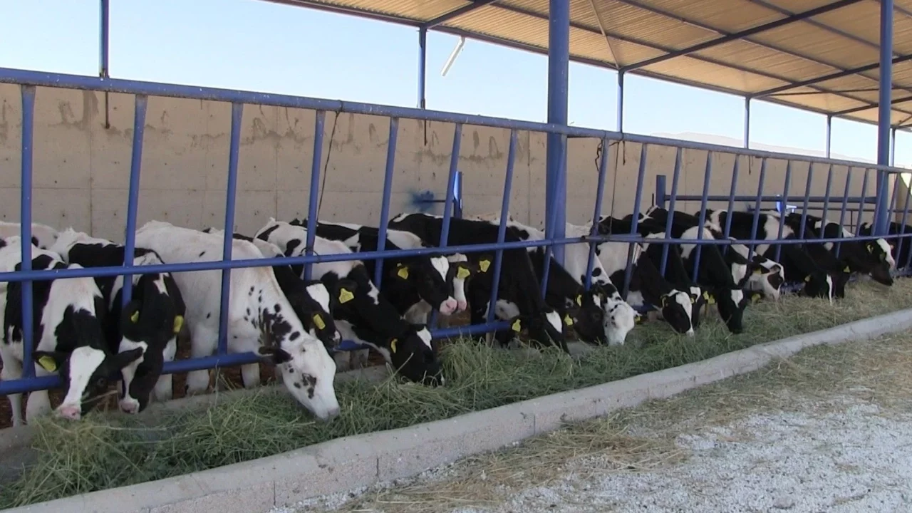 Niğde'de alarm; karantina başlatıldı