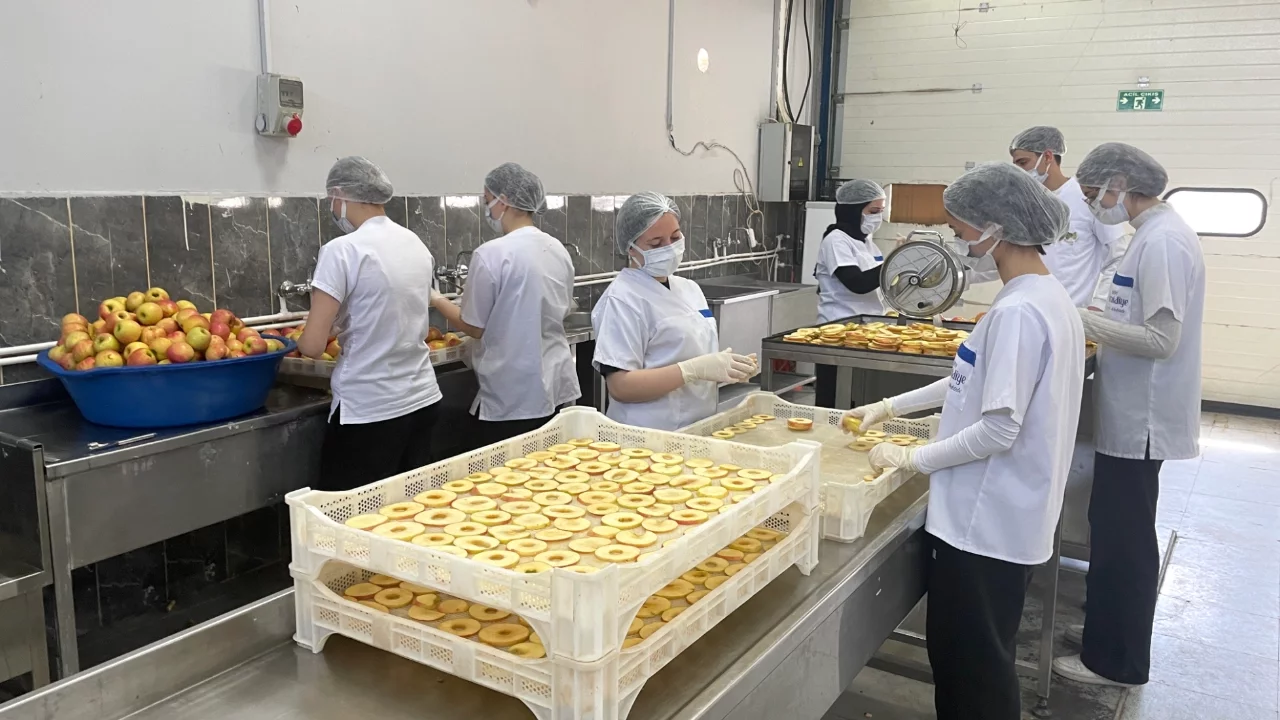 Bursa'da 135 yıllık tarım lisesinde yetiştirilen ürünler tüketiciye ulaşıyor