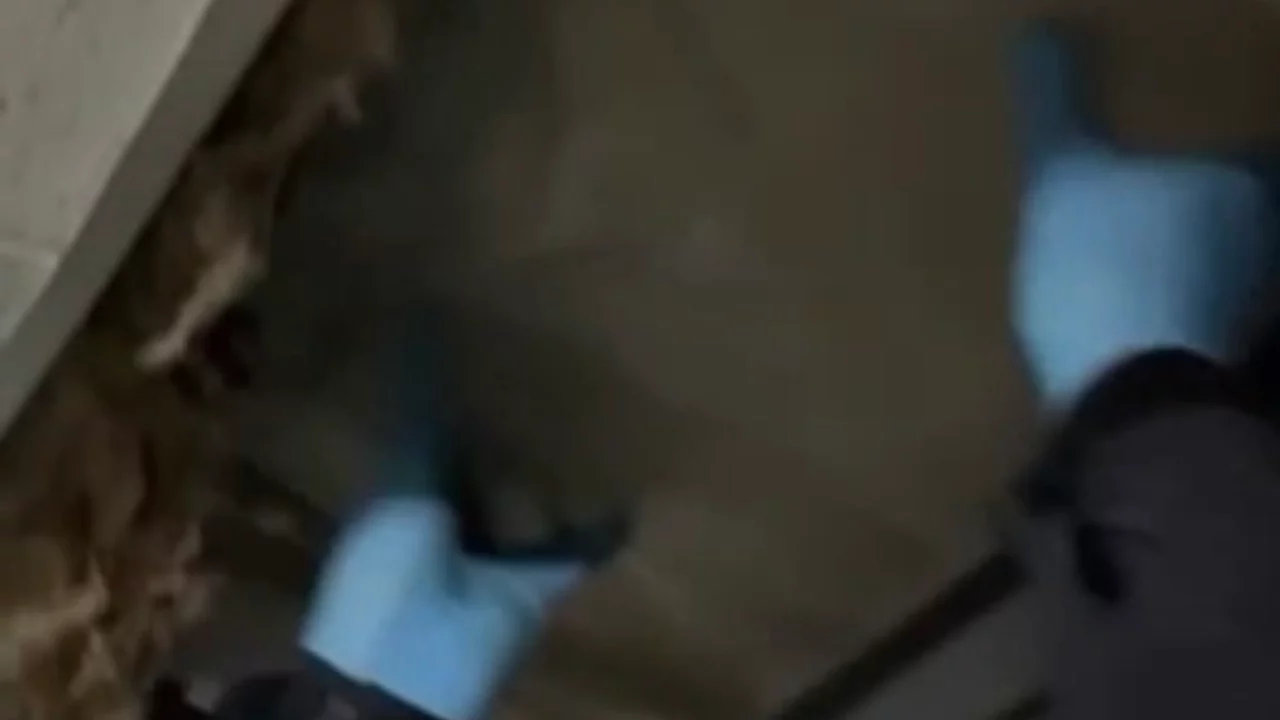 Bursa'da uyuşturucu operasyonu! Tavan arasından çıktı