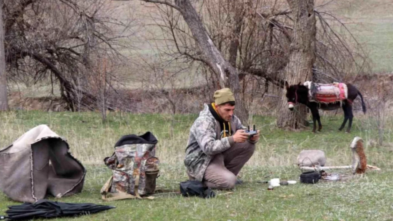 Çobanlık yöntemlerini teknolojiyle birleştirdi