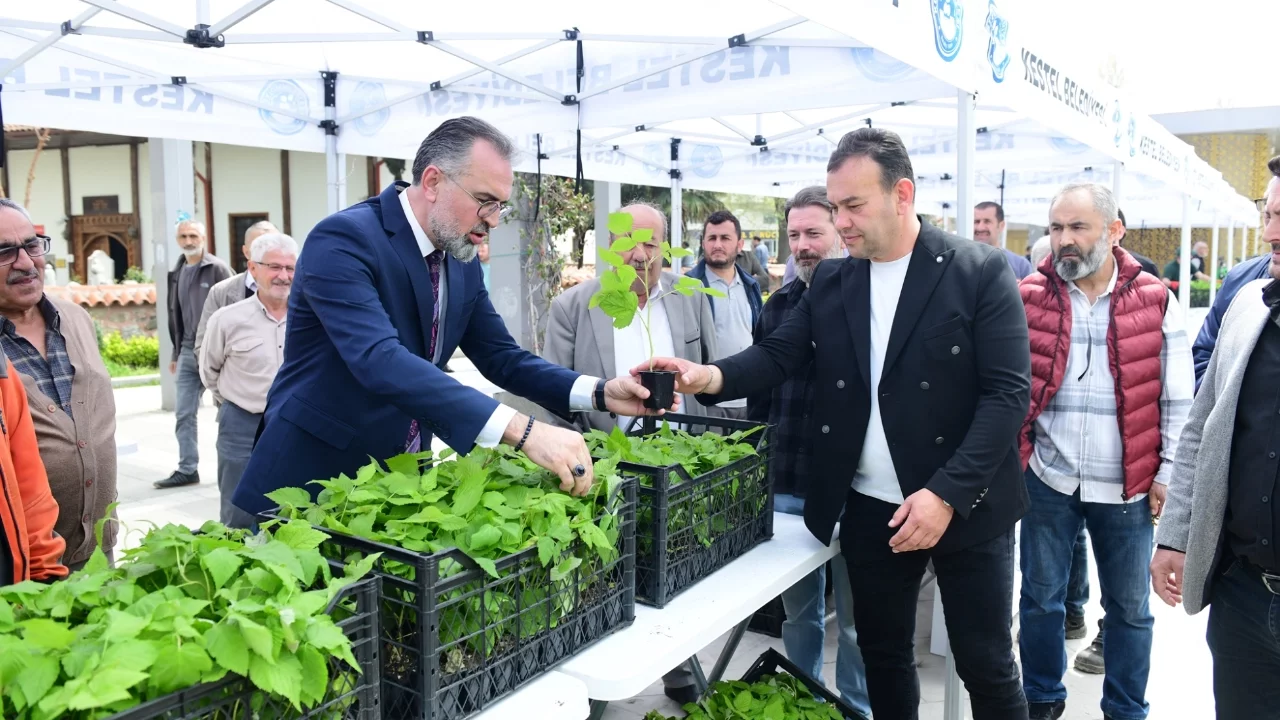 Bursa Kestel'de üreticiye 6 bin ahududu fidanı desteği